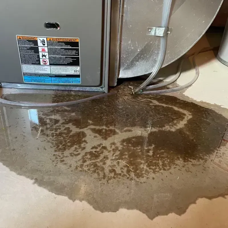 Appliance Leak Cleanup in Farmingdale, ME